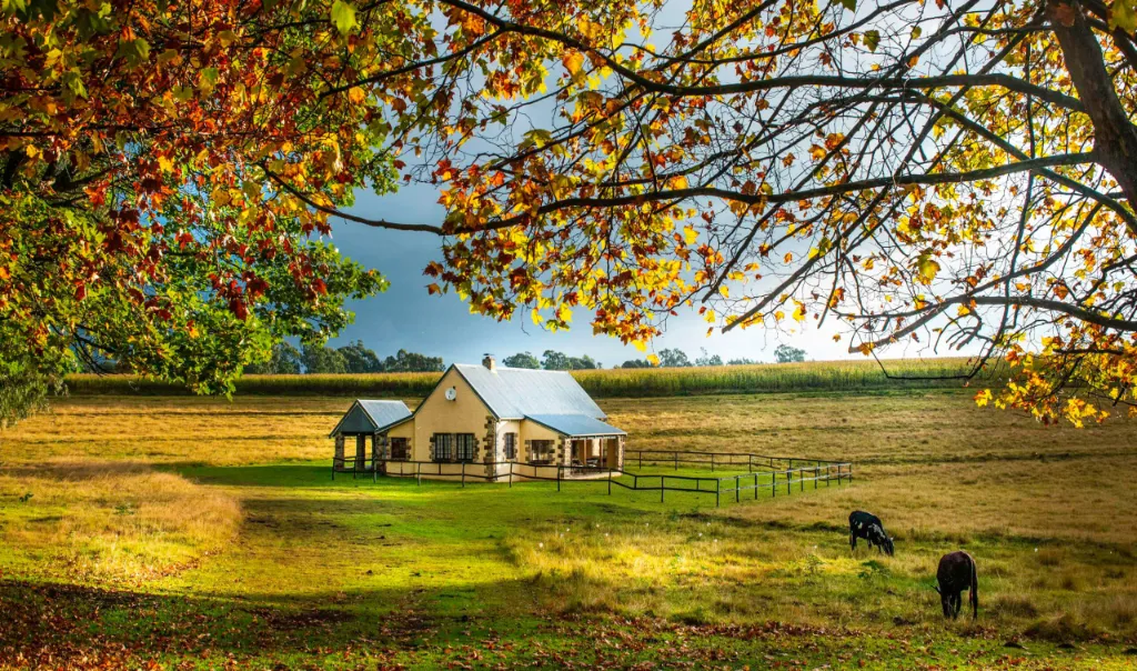 A cozy cottage nestled amidst the Midlands's lush green expanse.